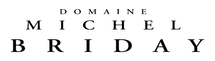 RULLY DOMAINE BRIDAY CUVEE LES 4 VIGNES 2022