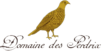 NUITS ST GEORGES 1ER CRU AUX PERDRIX DOMAINE DES PERDRIX 2021