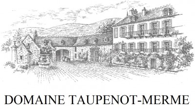 GEVREY CHAMBERTIN 1ER CRU BEL AIR DOMAINE TAUPENOT MERME 2022